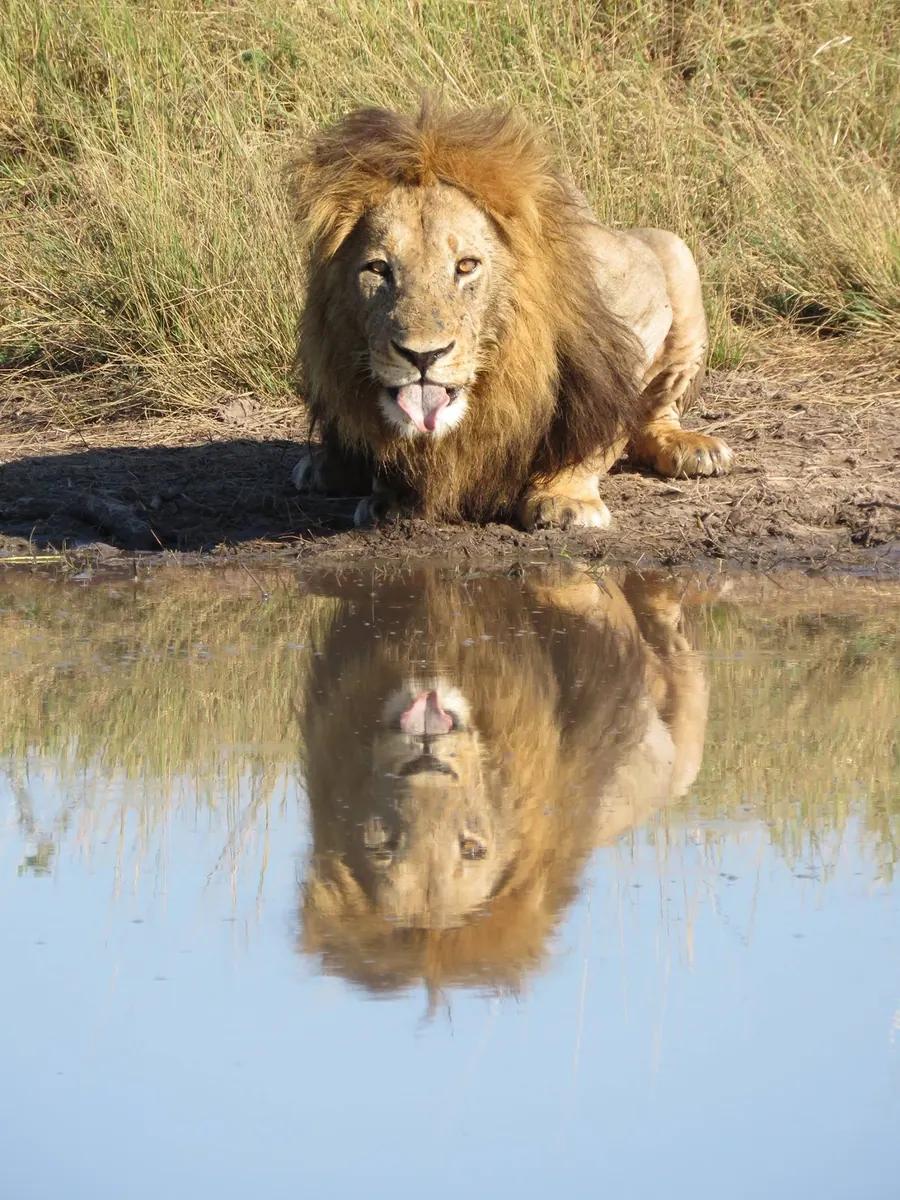 Namibia route — Image 34 - Namvic Safaris photo from Namibia operations.