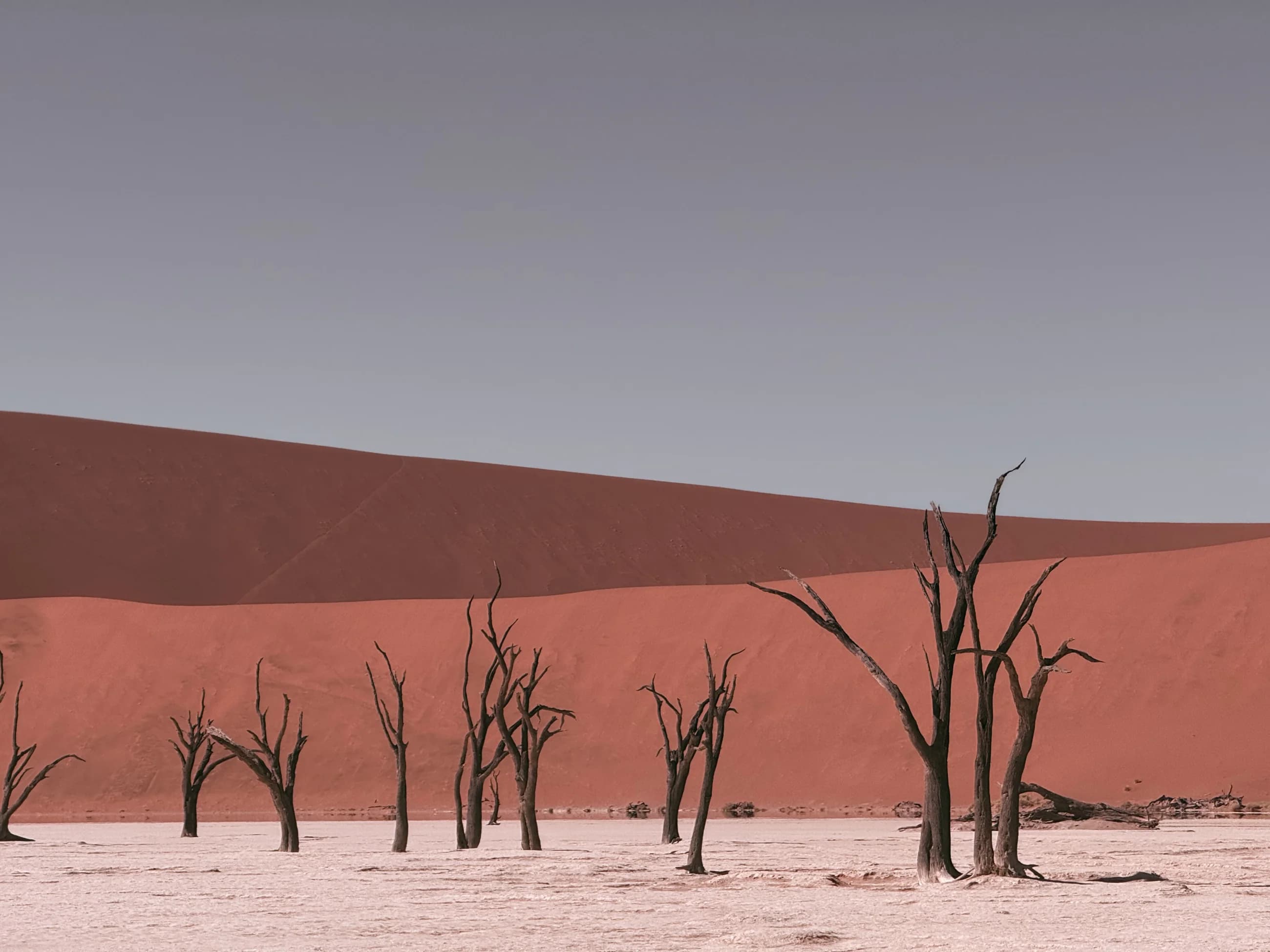 Deadvlei desert landscape and dunes
