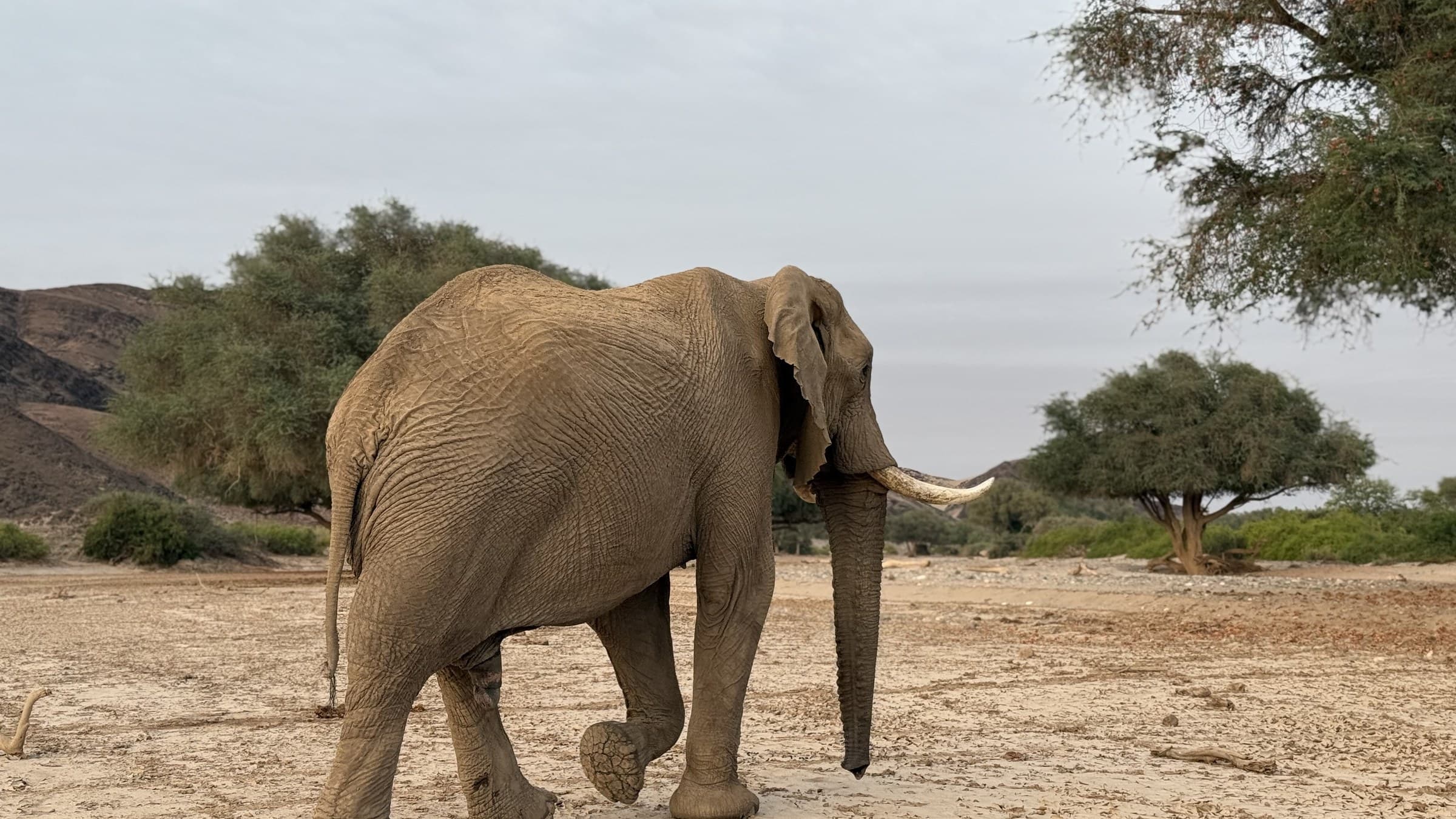 Namibia Grand Explorer — 16-Day Guided Lodge & Camping Safari itinerary scenery