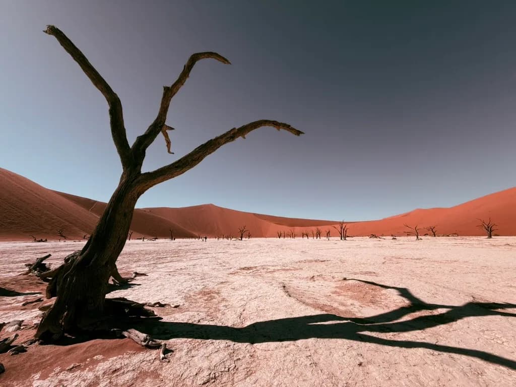 21 Day Namibia, Botswana & Vic Falls — Self-Drive itinerary scenery