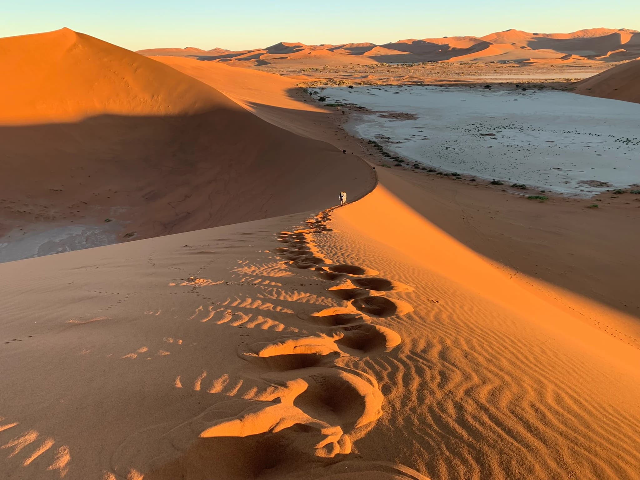 Namib Desert dunes