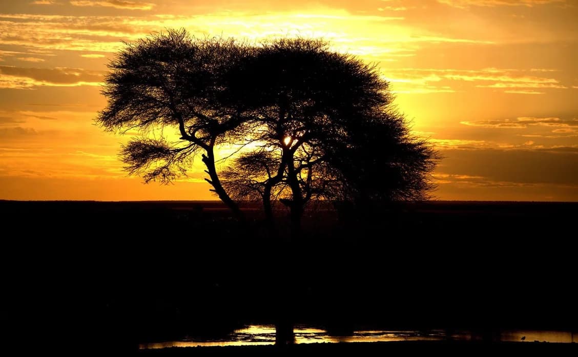 10 Day Namibian Explorer — Self-Drive Lodge Safari itinerary scenery