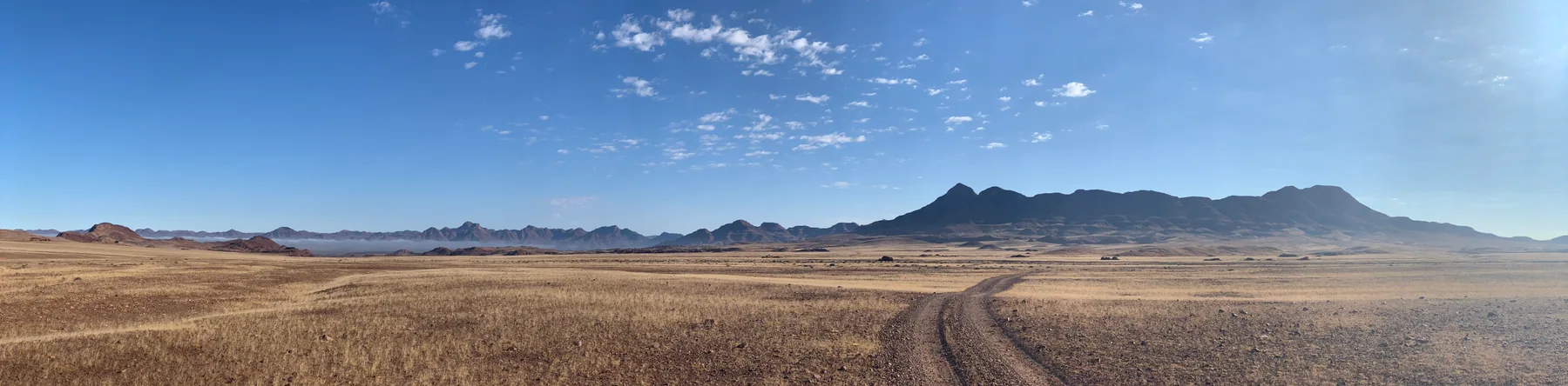 Tracks winding across an expansive dry landscape towards distant mountains