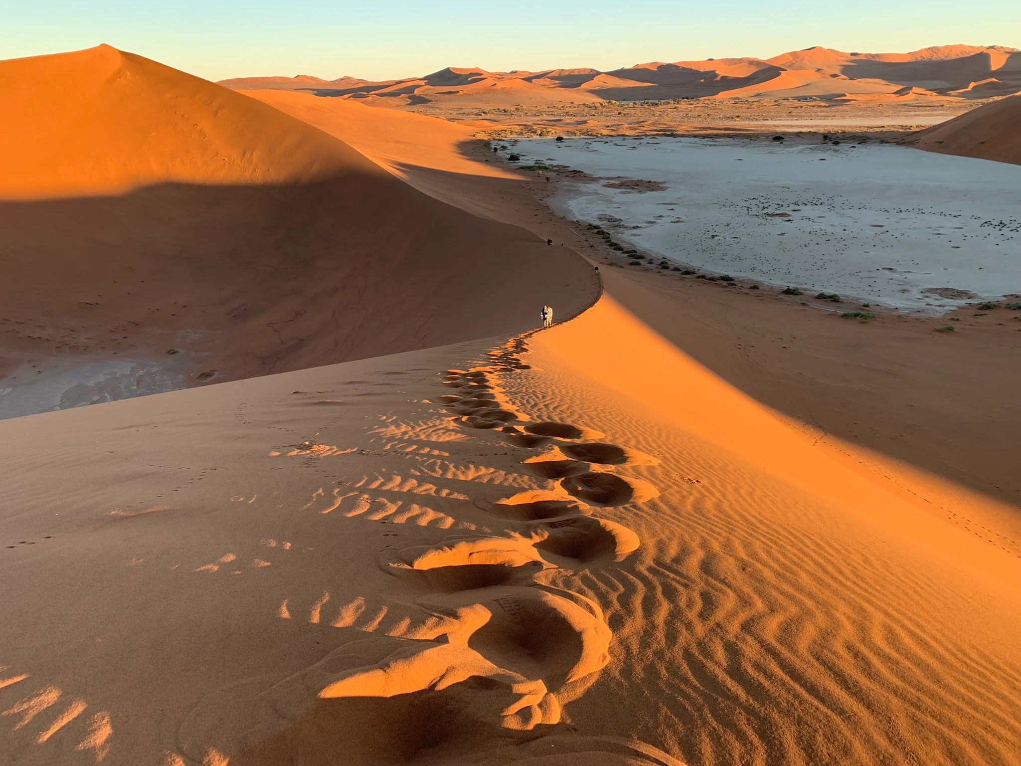 7-Day Desert, Coast & Wildlife Guided Safari
